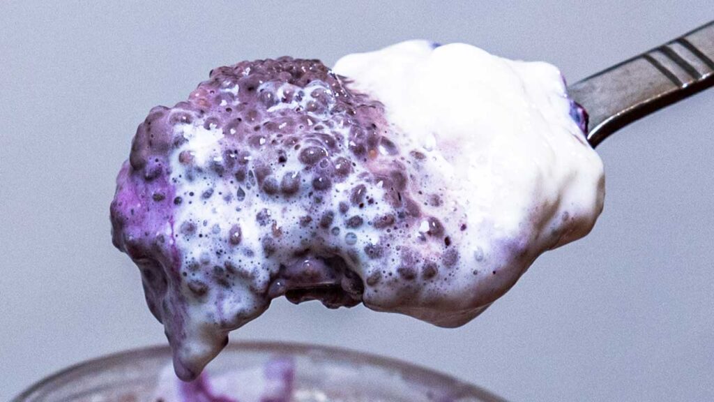 Blueberry chia seed protein pudding ingredients – chia seeds, protein powder, and blueberries for a high-protein recipe