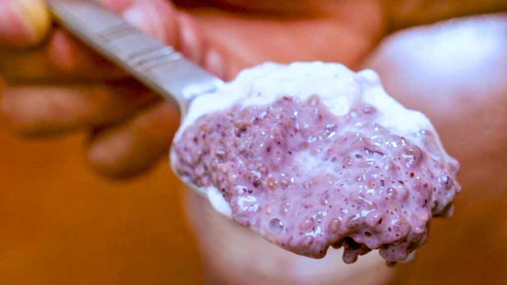 Blueberry chia seed protein pudding – easy high-protein overnight breakfast with blueberries